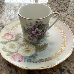 Floral Porcelain Cup and Saucer Set